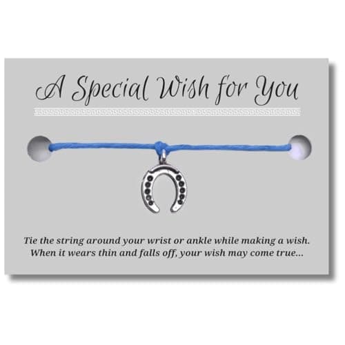 Image of Vilda Jewellery Horseshoe Blue Wish Bracelet, Hemp with Tibetan Silver Charm on Printed Card, 12 inches long, Adjustable Unisex Design, Friendship Anklet, Good Luck Gift for Women
