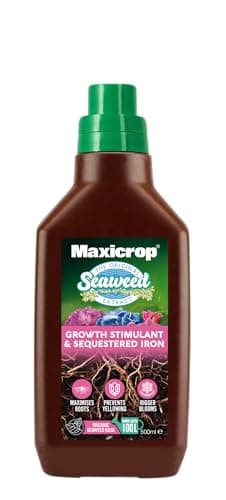 Image of Maxicrop PPSIYDL Sequestered Iron, 500ML - Iron Infused Natural Seaweed Extract - Protects Against Yellowing - Supports Growth In Difficult Soil Conditions - Plant Nutrition, Blue