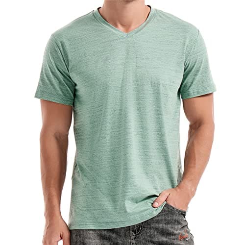 Image of RONOMO Men's Short Sleeved T-Shirt | V-Neck | Medium Stretch | Soft and Breathable | Anti Shrink Treatment(V Light Green L)