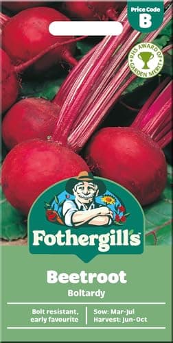 Image of Beetroot Seeds 'Boltardy' for Planting UK - Fothergill's Vegetable -