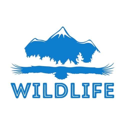 Image of Wall Vinyl Sticker Decor Eagle Mountain Wildlife Words Freedom Natural 32x46.6cm Art Decoration Small Blue