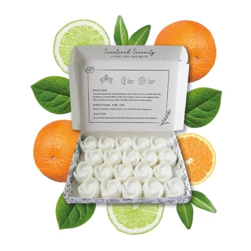 Image of Lime Basil + Mandarin Wax Melts| Strong Scented| 20 Pack| Luxury Gift Set Wax Melts| Over 96 Hrs Burn Time Per Box| Pet Friendly| Eco Friendly| Hand Poured in Staffordshire, UK (Lime Basil + Mandarin)