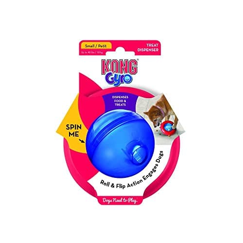 Image of KONG Interactive Toys for Dogs Gyro Puppy Assorted SM EU