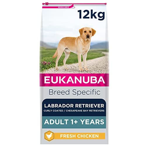 Image of Eukanuba Complete Dry Dog Food for Adult Labrador Retriever Breed Types with Fresh Chicken 12 kg