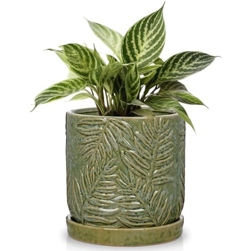 Image of Arborus Ceramic Plant Pots 14CM Green Plant Pots with Drainage Holes and Saucer Modern Embossed Leaf Ceramic Planter Indoor Plants Pot Decorative Flower Pot for Garden Succulents Cactus Orchid