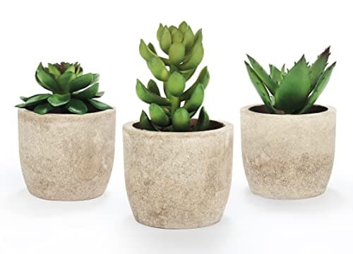 Image of Mr.Bom Set of 3 Mini Artificial Succulents Plants Potted Decorative Fake Succulent Plant in Pots Artificial Plant Indoor for Bedroom Office Desk Kitchen Decor Gift Set