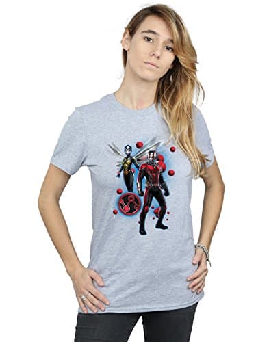 Image of Marvel Women's Ant-Man and The Wasp Particle Pose Boyfriend Fit T-Shirt Sport Grey X-Large