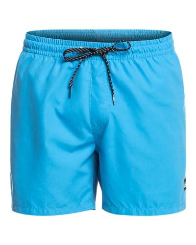 Image of Quiksilver Boys Everyday Volley 15 Swim Short, Blithe, L EU