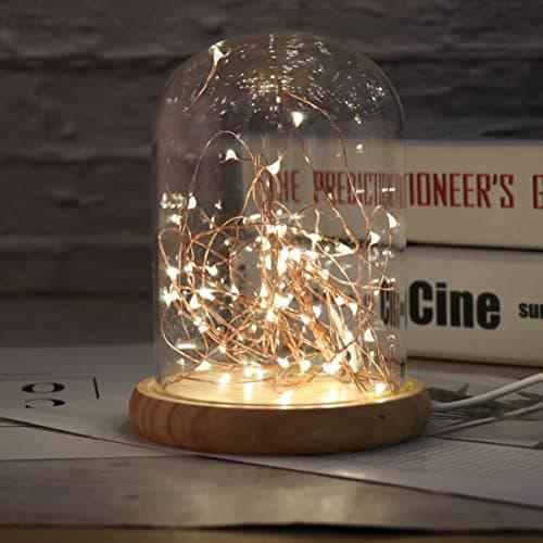 Image of LEDMOMO Glass Dome Lights, Dome Cloche LED Night Light Table Lamp USB LED Bedside Table Lamp (Warm White)