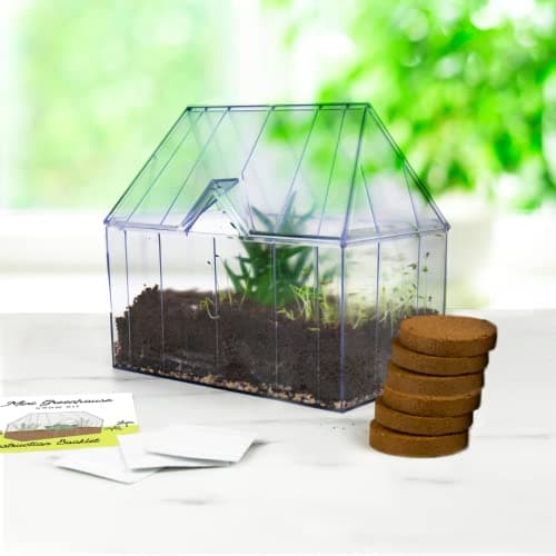 Image of Mini Greenhouse Grow Kit - Comes With Everything To Start Growing Herbs