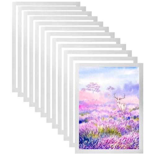 Image of WENLISELL 12PCS A4 Magnetic Display Frame, Self Adhesive Magnetic Photo Frame for Wall, Silver Magnet Poster Frame for Photos, Notices, Documents, License, Paintings, Poster