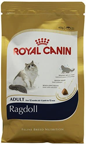 Image of Royal Canin Ragdoll Adult Dry Cat Food 400g