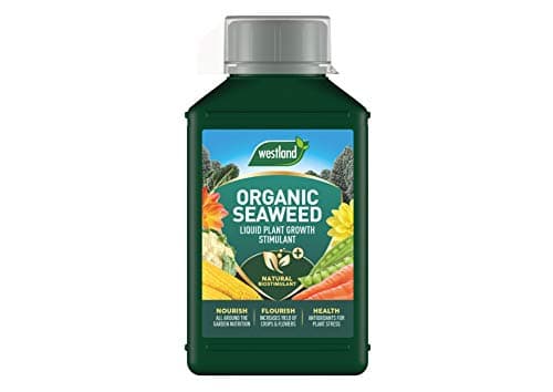 Image of Westland Organic Seaweed Plant Growth Stimulant Liquid Plant Food 1 Litre, green