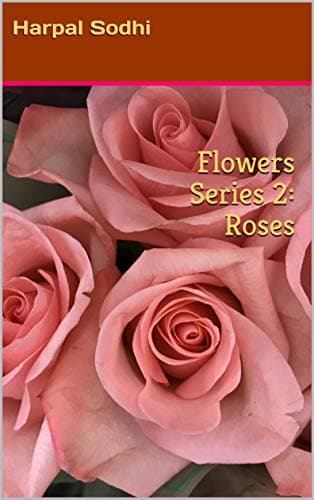 Image of Flowers Series 2: Roses: Bubbly Picture Books (Flowers Series 12, Bubbly picture bookss)