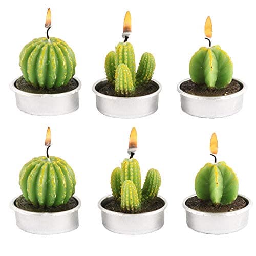 Image of CHSG 6 Pcs Cactus Tealight Candle Succulent Cactus Creative Candle, Handmade Delicate, Cute Mini Succulent Plants Candles Perfect for Women Birthday, Christmas, Party, Wedding, Spa, Home Decoration