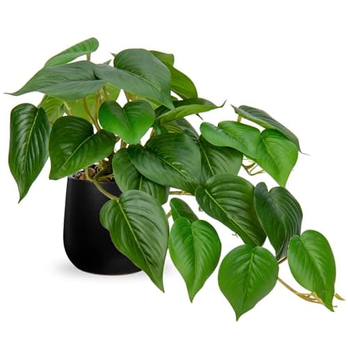 Image of Hollyone Artificial Plants in Black Ceramic Pots, Fake Jade Pothos Decorative Faux Potted Plants, Realistic House Plant Indoor for Home Décor, Bathroom, Living Room, Kitchen, Office Decorations
