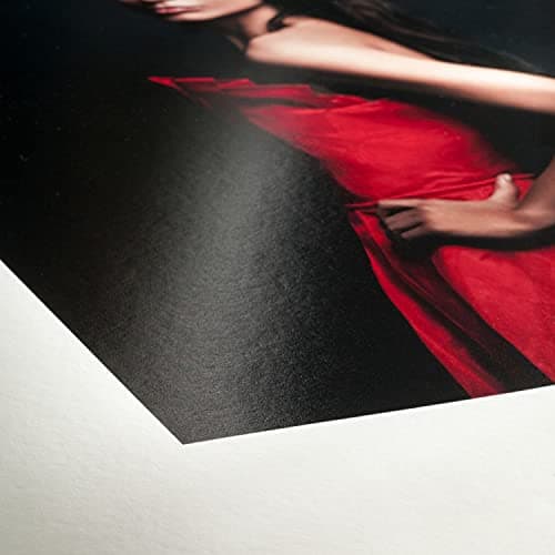 Image of Hahnemühle FineArt Baryta 10643531 Digital 300 g/m² – Satin Photo Paper 44 Inch Roll 1118 mm x 12 m White