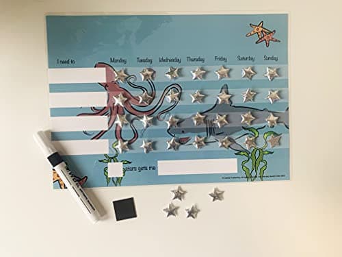 Image of In To The Sea Kids Reward Chart with reusable hook and loop stars by Cerise Publishing