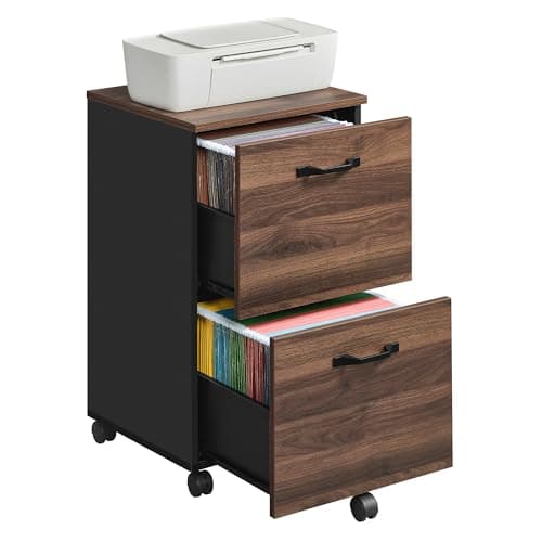 Image of VASAGLE 2-Drawer Filing Cabinet, Mobile File Cabinet for Home Office, Printer Stand, A4, Letter-Size Files, Hanging File Folders, Natural Walnut and Ink Black OFC040K01