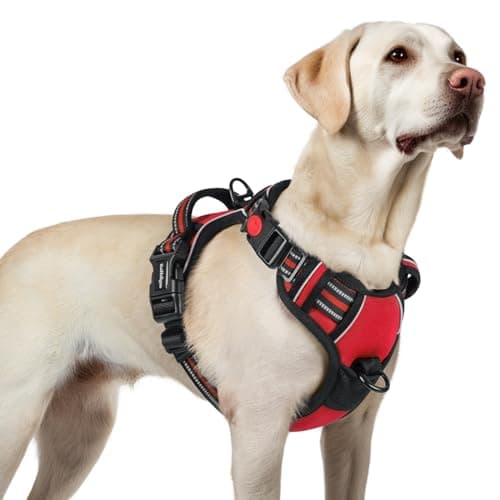 Image of rabbitgoo Dog Harness Large Dog with Neck Release Buckle, No Pull Harness with Front Back Clips, Adjustable Soft Padded with Easy Control Handle, Reflective No-choke Pet Walking Vest, Red, L