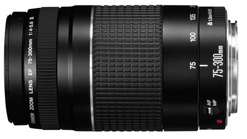 Image of Canon EF 75-300mm f/4-5.6 III Telephoto Zoom Lens for Canon SLR Cameras Canon EOS 7D, 60D, EOS Rebel SL1, T1i, T2i, T3, T3i, T4i, T5i, XS, XSi, XT, XTi Digital SLR Cameras