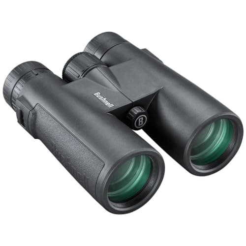 Image of Bushnell - All-Purpose Binocular - 10x42 - Black - Roof Prism - Multi-Coated - BaK-7 Prism - Bird Watching - Sightseeing - Travelling - Outdoor - Hiking - 210142R