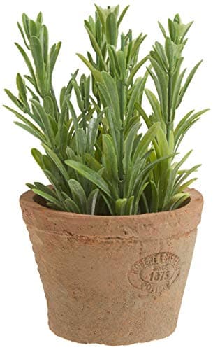 Image of Esschert's Design AH011 Small Artificial Aged Terracotta Pot - Rosemary