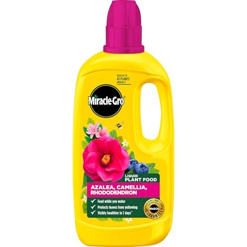 Image of Miracle-Gro 121180 Azelia, Camellia & Rhododendron Concentrated Plant Food, 800 ml, Natural
