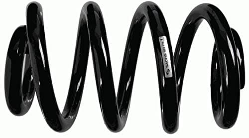 Image of SACHS 993 176 Coil Spring for and other applications