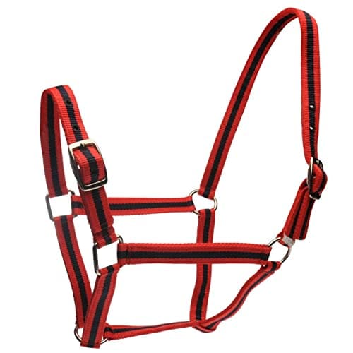 Image of Roma Headcollar & Lead Set, Red/Navy, Pony