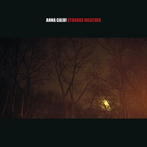 Image of Strange Weather [Audio CD]