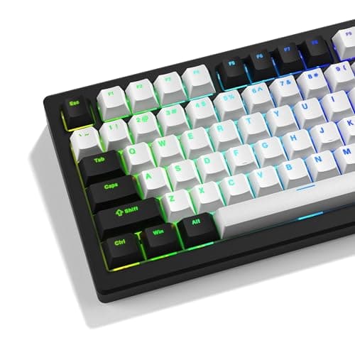 Image of GMKWTL XVX White and Black Keycaps, Shine Through PBT Keycaps Cherry Profile, Custom Key caps Doubleshot 124 Keys Set, Universal Compatiability for 60%, 65%, 75%, 100% Keyboard