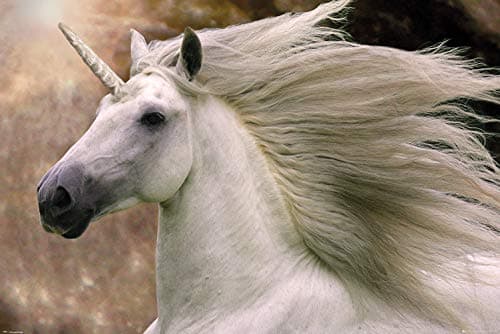 Image of GB Eye, Bob Langrish, Unicorn, Maxi Poster 61x91.5cm