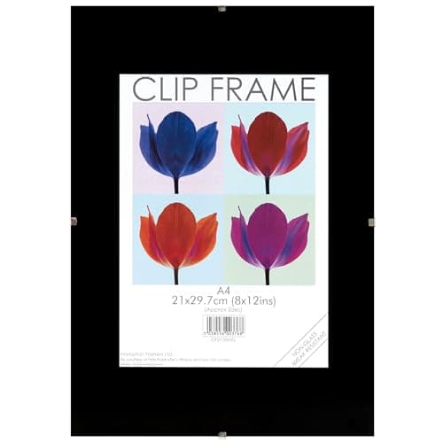Image of Hampton Frames CLIP FRAME Photo Frame Poster Certificate Display Frame Acrylic Aperture (Non Glass) A4 (21x30cm) CF2130NG