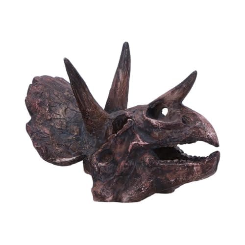 Image of Nemesis Now Dinosaur Skull Statue - Gifts & Decor for Paleontology Enthusiasts and Collectors - Hand-Painted Resin Dinosaur Fossil - Triceratops