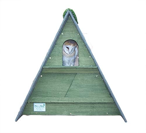 Image of barn owl nest box (Forest Green)
