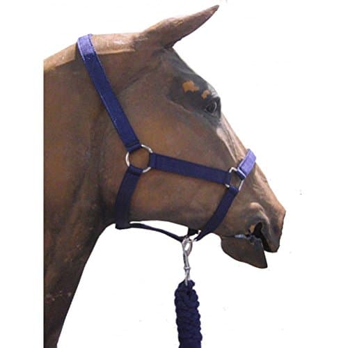 Image of Roma Headcollar & Lead Set, Navy, Cob