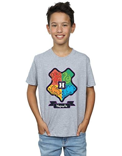 Image of Harry Potter Boys Hogwarts Junior Crest T-Shirt 5-6 Years Sport Grey