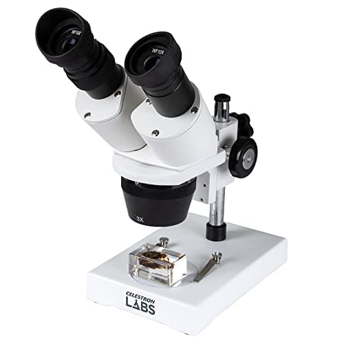 Image of Celestron – Stereo Microscope – Celestron Labs S1030N – Ergonomic Binocular Head – 10x and 30x Magnification
