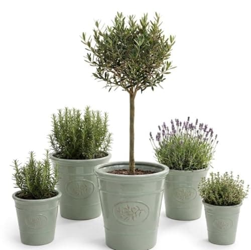 Image of Garden Plant Pots Plastic Outdoor & Indoor Use, Heavy Duty, Frost Proof Small and Large, with Drainage Holes, Sage Green or Grey, 17cm, 23cm, 30cm, 40cm and 55cm (Sage Green, 40cm x 40cm 34 Litres)