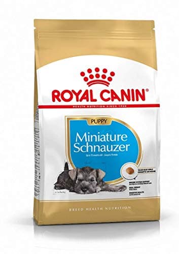 Image of Royal Canin Dog Food Mini Schnauzer Puppy / Junior Complete 1.5KG