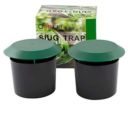 Image of DIVCHI Beer Slug & Snail Traps Simple To Use No Pellets Safe Around Children And Pets (Pack of 2)