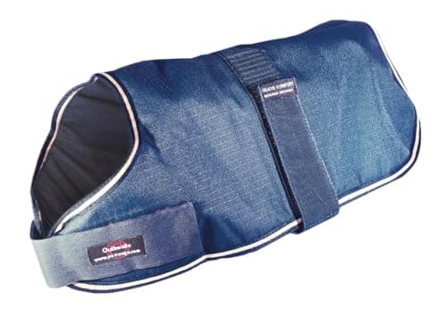 Image of Outhwaite Padded Dog Coat, 16-inch, Navy Blue