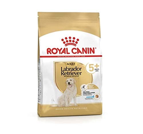 Image of RoyalCanin Labrador Retriever Adult 5+ Dry Dog Food 12Kg Tailored For Weight Control And Optimal Joint Function Maximum Strength On Hips For Canine Who Reach Their Senior Years Savory Healthy Kibble