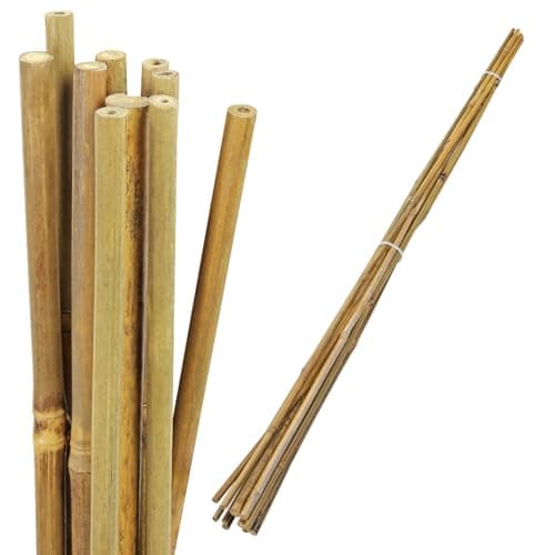 Image of Taylor & Brown 90cm - 10 Pack Bamboo Canes Heavy Duty Plant Support Garden Canes, Sustainable Garden Solution Eco-Friendly Bamboo Sticks for Plant Support & Growth