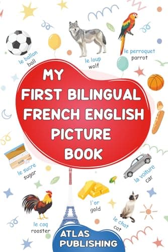 Image of My first bilingual French English picture book: 500 words in the French language - A visual dictionary with illustrated words on everyday themes - Learn French vocabulary for kids and beginner adults