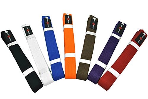 Image of Senshi Japan Karate Aikido Belt - Made From Cotton - For Any Martial Art, Karate, Aikido, Judo, Thai Boxing, Shotokan, Taekwondo - For Training & Competition (Brown, 280 CM)