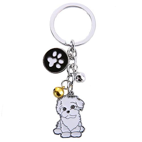 Image of BbearT® Dog Tag Dog Key-ring Keychain,Cute Small Dog Puppy ID Tags Metal Dog Keychain Keyring Keyfob Key Tags Car Keyring Bag Charm Birthday (Bichon Frise)