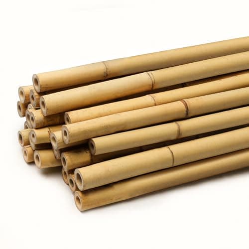 Image of FunkyBuys Thick Bamboo Canes - Heavy Duty, Natural Garden Stakes, Strong Bamboo Sticks for Plant Support - Ideal for Gardens and Outdoor Spaces pack of 50, 6FT, (14-16mm)