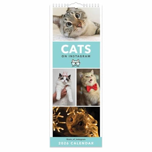 Image of Cats On Instagram Slim Calendar 2026, Wall Calendars, Month To View, Humour, Gift